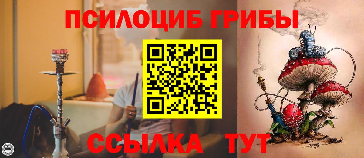 Псилоцибиновые грибы Psilocybe  Вход с VPN  Кстово  Псилоцибиновые грибы мухоморы 